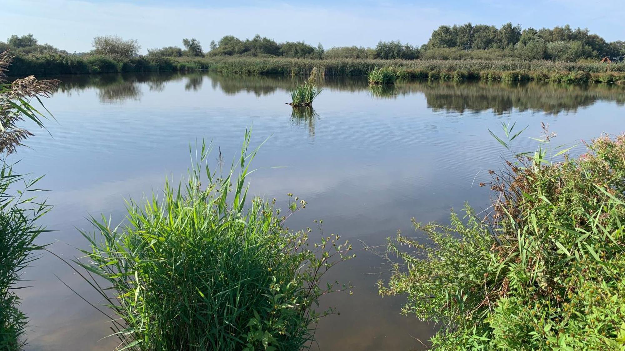 'T Paviljoenhus Bij Sneekermeer Offingawier Exterior photo